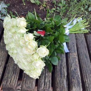 51 белая роза в Ровно фото