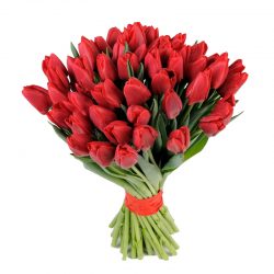 Фото товара 51 красный тюльпан в Ровно