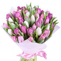 Фото товара 51 біло-рожевий тюльпан в Ровно