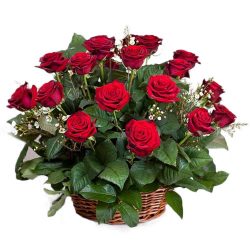 Фото товара 21 красная роза в корзине в Ровно