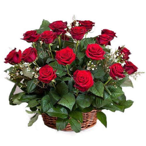 Фото товара 21 червона троянда в кошику в Ровно
