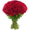 Фото товара 75 червоних троянд в Ровно