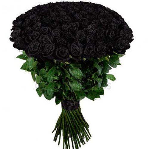 Фото товара 101 чорна троянда в Ровно