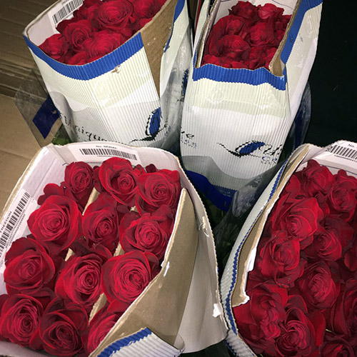 поставка червоних троянд до магазину квітів фото