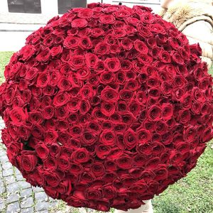 Большой букет из 301 красной розы фото