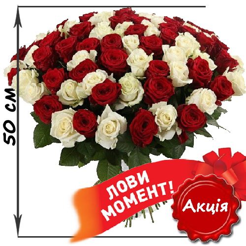 Фото товара 101 троянда мікс червона і біла (50 см) в Ровно