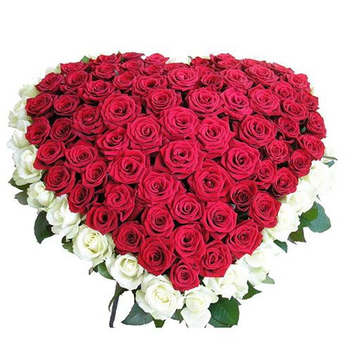 Фото товара 101 троянда серце - біла і червона в Ровно