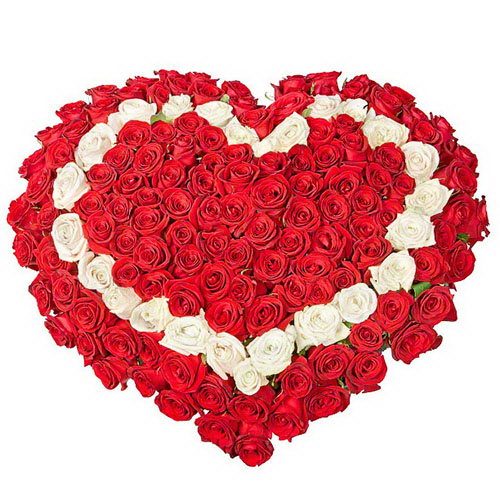 Фото товара 101 троянда серцем: червона, біла, червона в Ровно