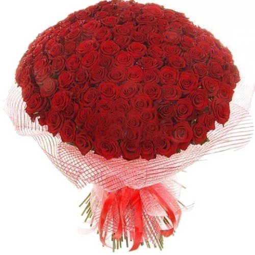 Фото товара 201 червона троянда в Ровно