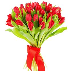 Фото товара 25 червоних тюльпанів в Ровно