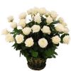 Фото товара 35 білих троянд в кошику в Ровно