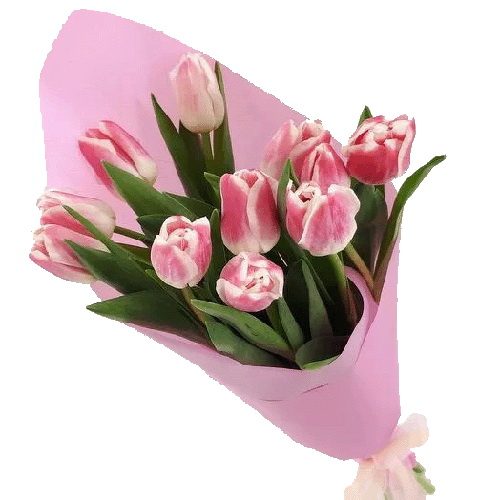 Фото товара 11 рожевих тюльпанів в Ровно
