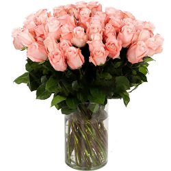 Фото товара Троянда імпортна рожева (поштучно) в Ровно