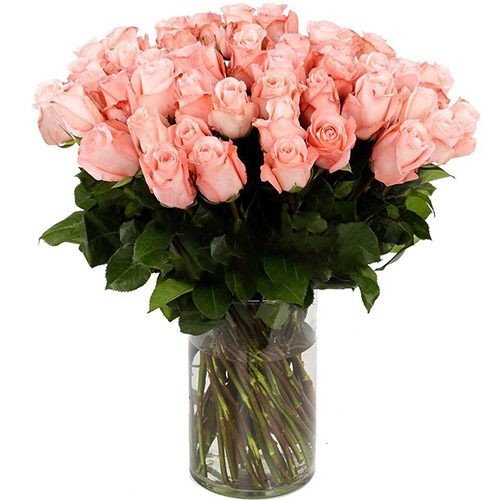 Фото товара Троянда імпортна рожева (поштучно) в Ровно