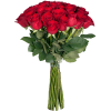 Фото товара Троянда імпортна червона (поштучно) в Ровно