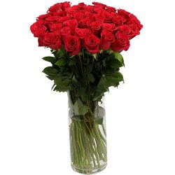 Фото товара Троянда імпортна червона (поштучно) в Ровно
