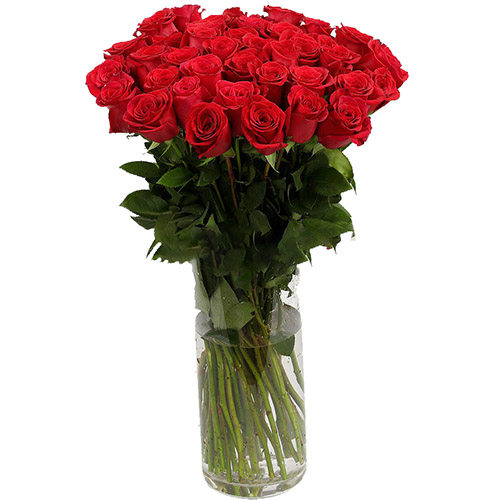 фото товара Троянда імпортна червона (поштучно) | «Букетик Рівне»