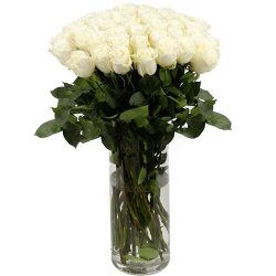Фото товара Троянда імпортна біла (поштучно) в Ровно