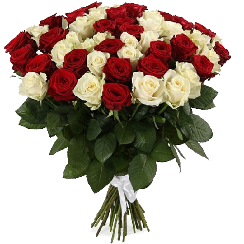 Фото товара 51 роза красная и белая в Ровно