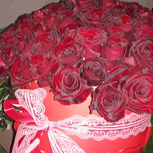 червоні троянди в коробці в Рівному фото