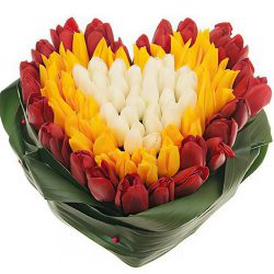 Фото товара 151 тюльпан сердцем "Краски весны" в Ровно