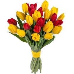 Фото товара 15 красно-жёлтых тюльпанов (с лентой) в Ровно