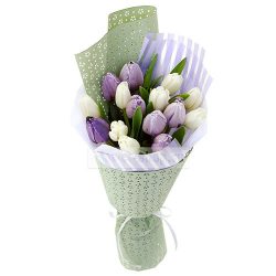 Фото товара 15 бело-фиолетовых тюльпанов в Ровно