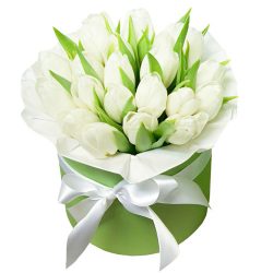 Фото товара 21 белый тюльпан в коробке в Ровно