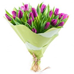 Фото товара 25 пурпурных тюльпанов в Ровно