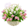 Фото товара 31 ніжно-рожевий тюльпан у коробці в Ровно