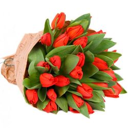 Фото товара 35 красных тюльпанов в "газете" в Ровно