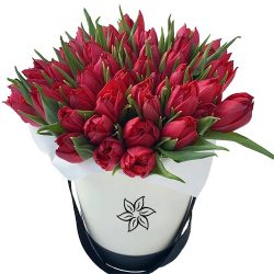 Фото товара 45 червоних тюльпанів у коробці в Ровно