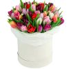 Фото товара 51 біло-рожевий тюльпан у коробці в Ровно