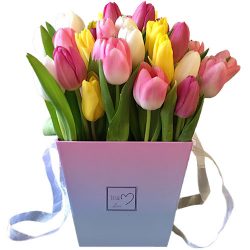 Фото товара 31 тюльпан "Весняний вітер" у квадратній коробці в Ровно