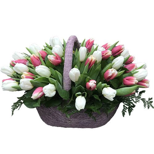 Фото товара 51 біло-рожевий тюльпан у кошику в Ровно