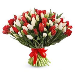 Фото товара 75 червоно-білих тюльпанів (зі стрічкою) в Ровно