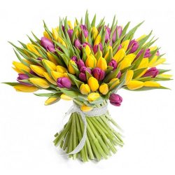 Фото товара 75 фиолетово-жёлтых тюльпанов в Ровно