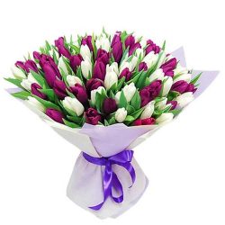 Фото товара 75 пурпурно-белых тюльпанов в Ровно