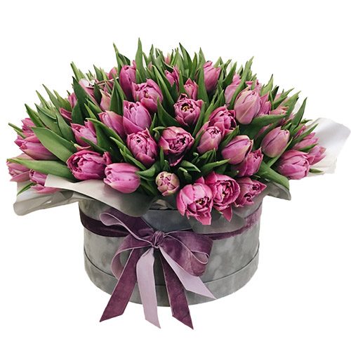 Фото товара 101 пурпурний тюльпан у коробці в Ровно