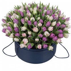 Фото товара 201 тюльпан (два цвета) в коробке в Ровно