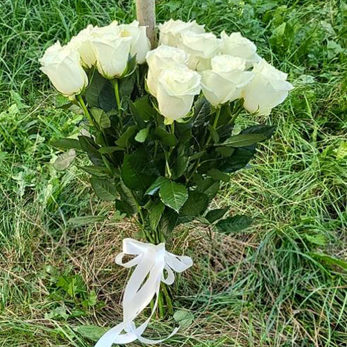 букет з 15 білих роз в Рівному фото