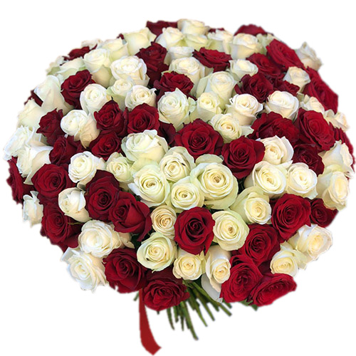 Фото товара 101 червона і біла троянда в Ровно