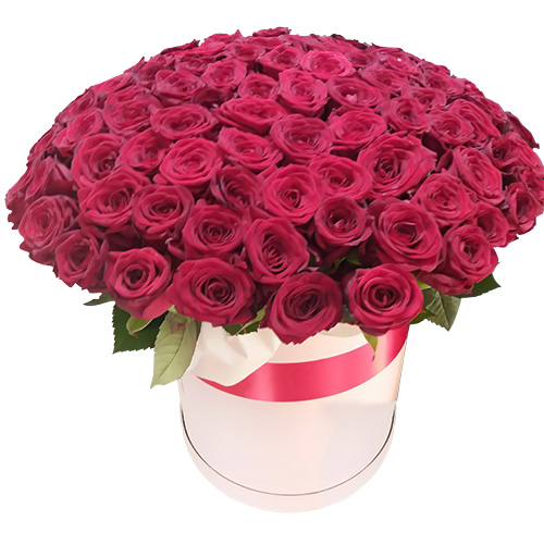 Фото товара 101 роза красная в шляпной коробке в Ровно