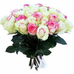 Фото товара 33 кремовые и розовые розы в Ровно