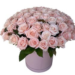 Фото товара 101 рожева троянда в коробці в Ровно