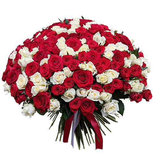 Фото товара 201 червона і біла троянда в Ровно