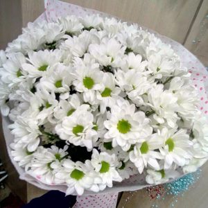 букет из белой ромашковой хризантемы в Ровно фото
